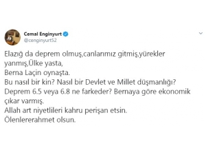 Mhp Ordu Milletvekili Enginyurt’tan Berna Laçin’ne Tepki