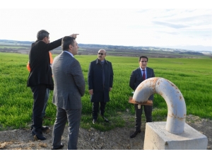 Vali Demirtaş’ın İmamoğlu Gezisi