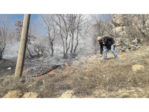 Ağaçlık Alandaki Yangına Vatandaşlar Müdahale Etti