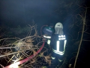 Seydikemer’de Orman Yangını: 2 Dönüm Alan Yandı