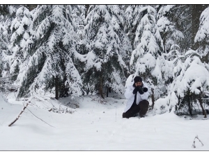 Karla Kaplı Ormanda Drone İle Geyikleri Böyle Görüntülediler