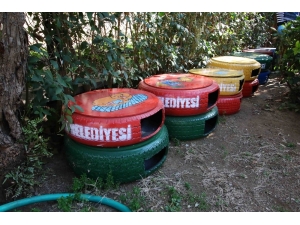 Bayraklı’da Kedi Evleri Yenilendi