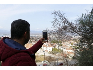 Fethiye’de Bademler Çiçek Açtı