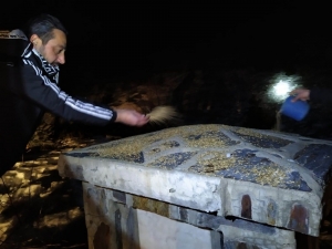 Beşiktaşlı Taraftarlardan Yaban Hayatına Yem Desteği