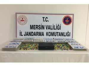 Mersin’de Sendika Binasına Kumar Operasyonu