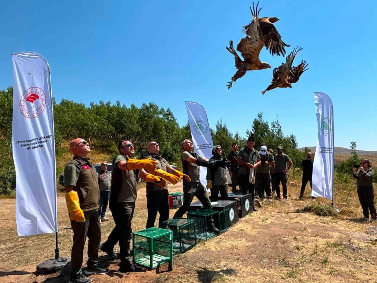 nemrut-kalderasi-milli-parki-nda-5-yaban-hayvani-dogaya-salindi