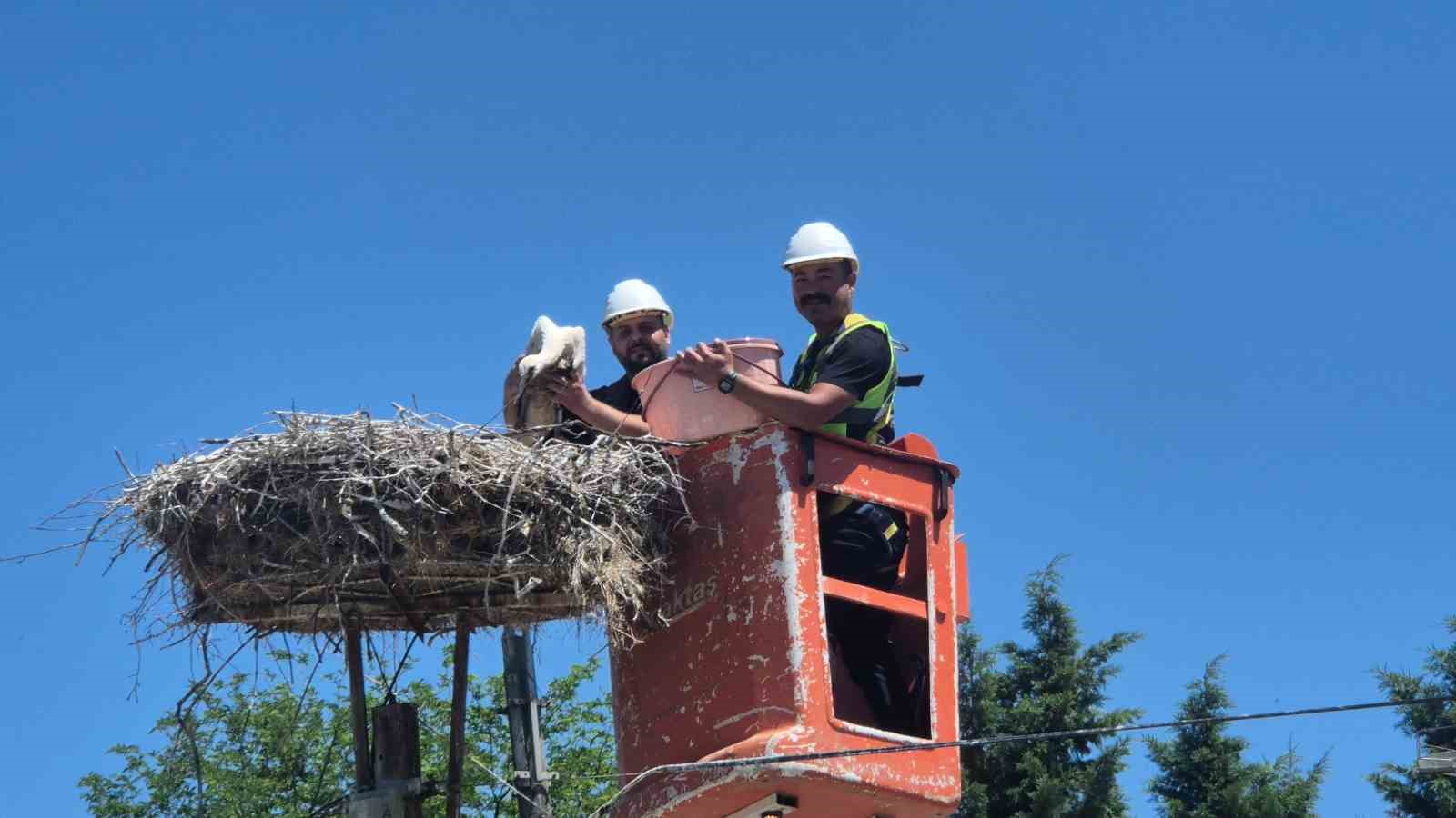 tekirdag-da-leylek-festivali