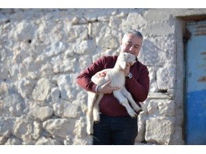 Tarım Ve Orman Müdürü Şahin Uzunyayla’da Çiftçilerle Buluştu