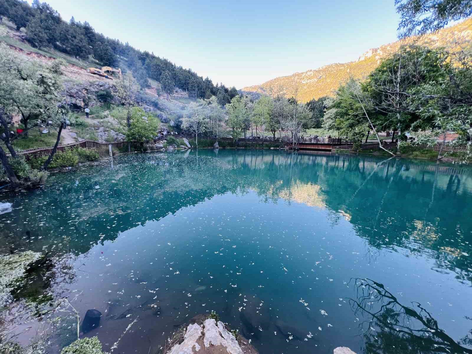 kahramanmaras-ta-yesilgoz-goz-kamastiriyor