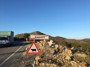 Ayvalık’ta Büyükşehir Belediyesi’nden Levhalama Çalışmaları