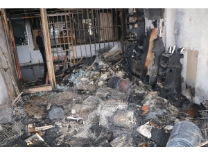 Yozgat’ta Pet Shopta Yangın, Çok Sayıda Hayvan Telef Oldu