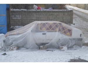 Ağrı’da Soğuk Hava Hayatı Felç Etti