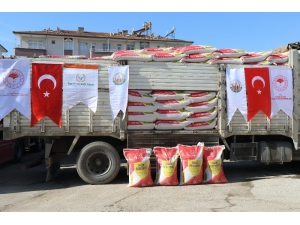 Depremzedelerin Yaraları Sarılıyor