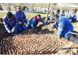 Kağıthane Nisan’da Rengarenk Olacak