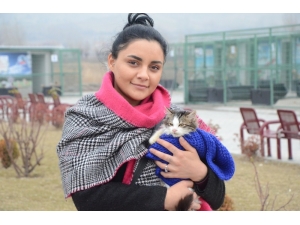 Tek Ayağı Olmayan Kediyi Sahiplendi