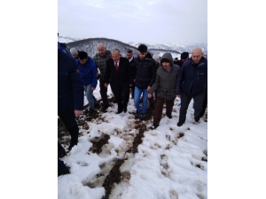 Hilmi Güler, Çöp Sorununa El Attı