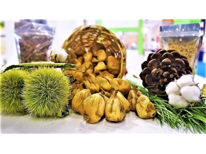 Aydın İncir, Kestane, Yağlık Zeytin Ve Kerevizde Liderliğini Korudu