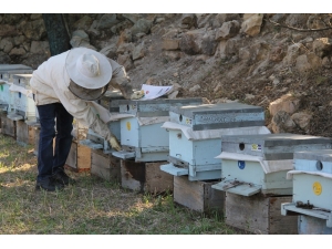 Tkdk’dan Çorum’a 201 Milyon Tl’lik Yatırım