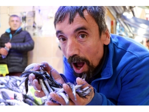 Fiyatı Düşen Hamsiye Hücum