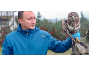 2019 Yılında Bursa’da 210 Yaban Hayvanı Doğa İle Buluştu