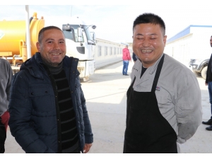 Çinli Ve Türk İşçiler ‘Korona Virüsü’ne Aldırmadan Çalışıyorlar