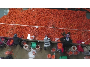 Havucun Merkezi Konya’da Yaz Kış Mesai Devam Ediyor