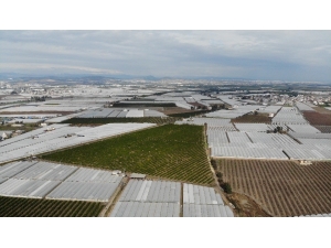 Mersin’de Selin Bilançosu Ağır Oldu