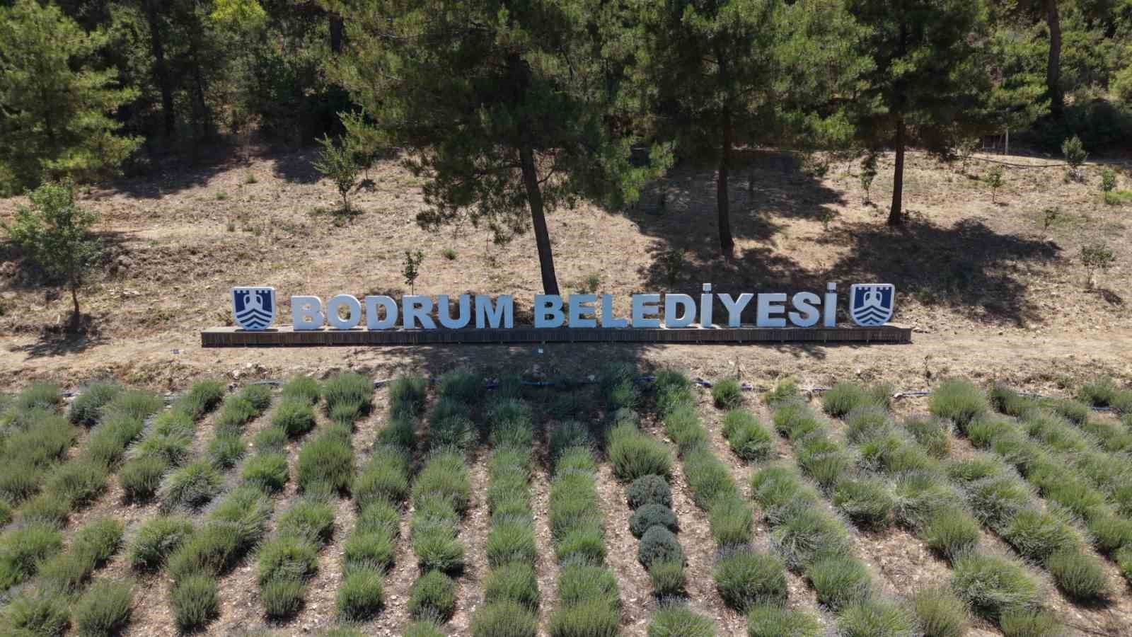 2026-yili-genclik-tarim-kamplarinin-ilki-basladi