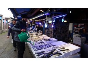 Balıkçılar Hamsiden Umudunu Kesti