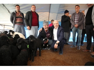 Başkan Gültak, Huzurkent’te Yörüklerle Buluştu