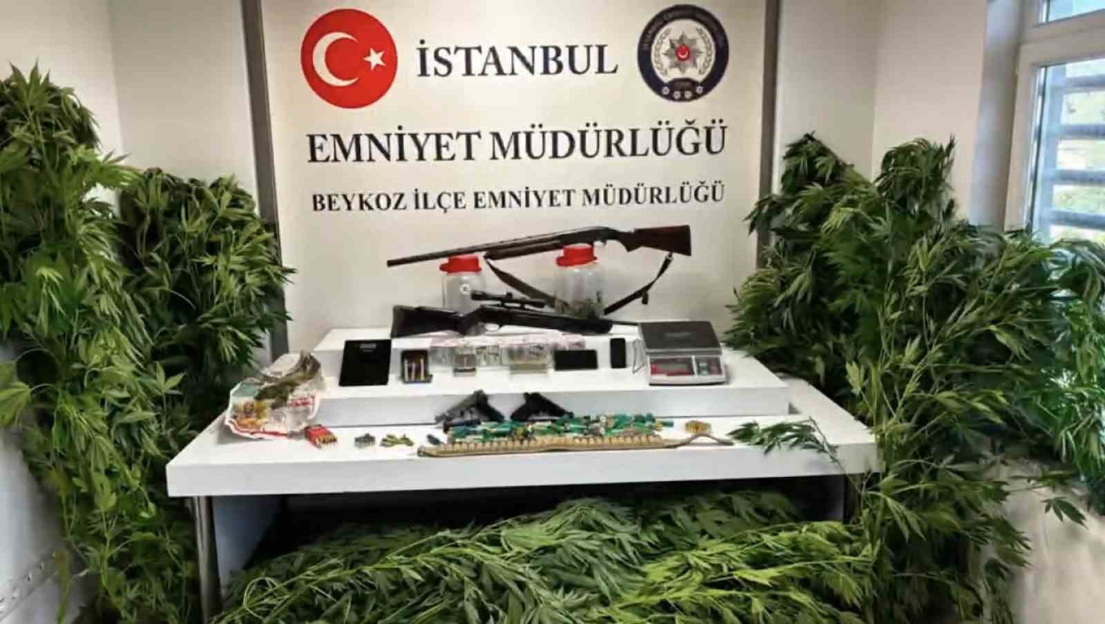 beykoz-da-uyusturucu-operasyonu-117-kok-hint-keneviri-ve-cok-sayida-silah-ele-gecirildi
