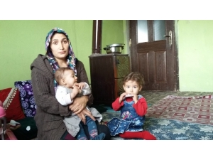 İpekyolu Belediyesinden ‘Zöhre Uluç’ Açıklaması