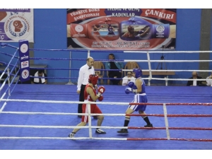 Çankırı’da Boks Heyecanı