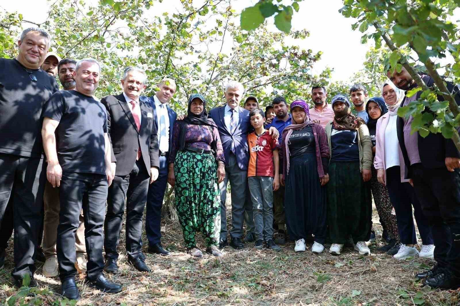 vali-makas-cumayeri-nde-findik-hasadina-katildi