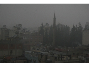 Kilis’te Yoğun Sis Etkili Oldu