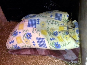 Soğuk Kış Günü İnsanın İçini Isıtan Hareket