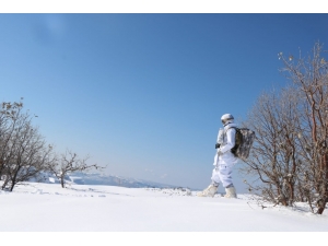 Şırnak’ta “Kapan-5 Gabar Operasyonu” Başlatıldı