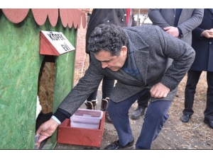 Ardahan’da Artık Sokak Hayvanlarının Da Evi Var