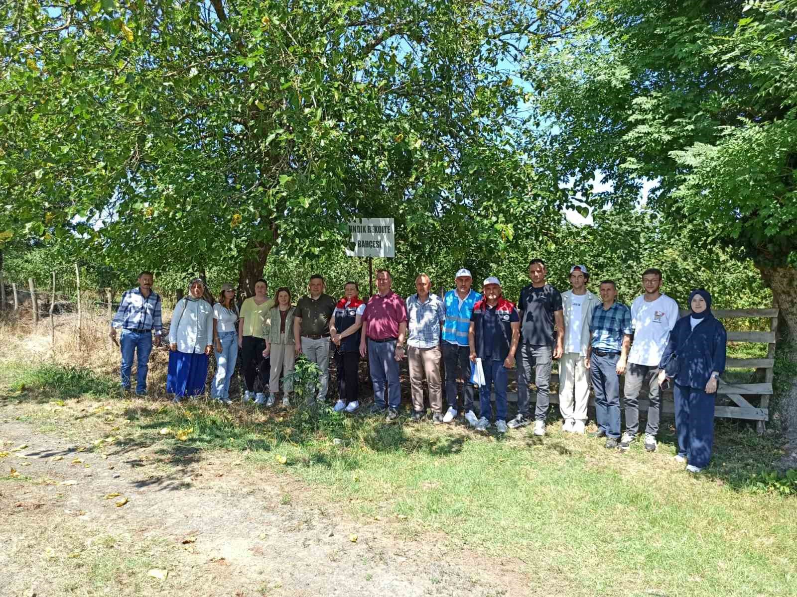 carsamba-da-2026-yili-findik-rekolte-sayim-calismalari-tamamlandi