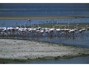 “Acıgöl” Kendine Hayran Bırakıyor