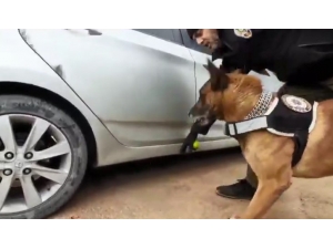 Narkotik Köpeğinden Kaçamayan Otomobilin Yakıt Deposundan Esrar Fışkırdı