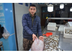 Bu Kalkan Balığının Fiyatı 585 Tl
