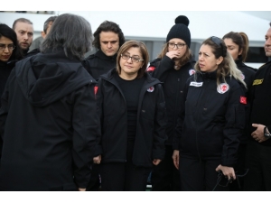 Şahin Antartika Yolcusu