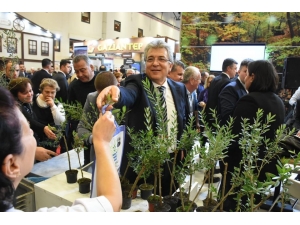 Edremit, Ayvalık Ve Gömeç Emıtt’te Yerini Aldı