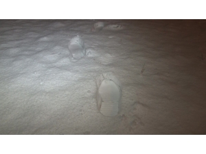 Ankara’da Kar Yağışı