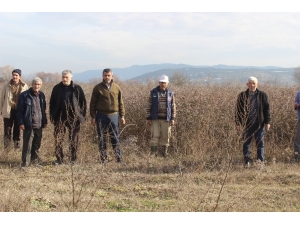 Köyün Merası Var, Ama Hayvan Otlatılamıyor