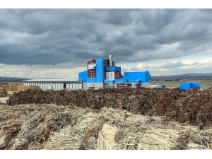 Bordo-mavi Elektrik Santrali