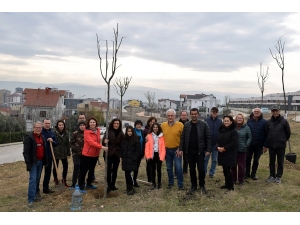 Mahalleli Park Alanlarını Kendi Ağaçlandırdı