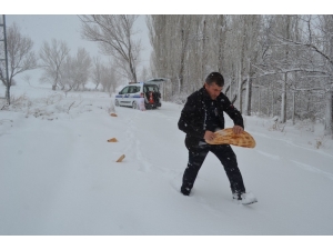 Bünyan Belediyesi Yaban Hayvanlarına Yem Bıraktı
