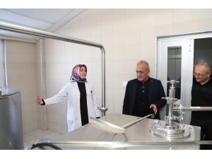 Süt Ve Ekmek Üretimine Bilimsel Dokunuş